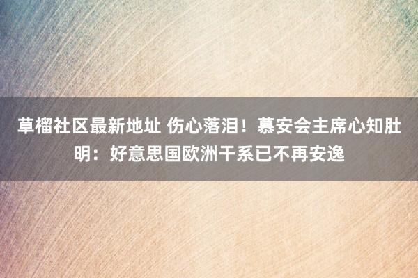 草榴社区最新地址 伤心落泪！慕安会主席心知肚明：好意思国欧洲干系已不再安逸