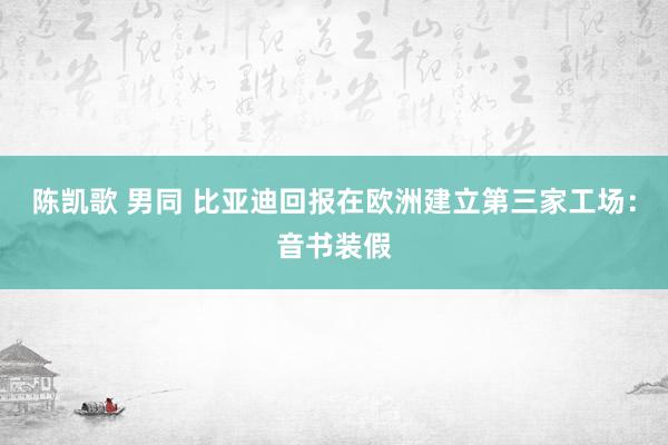 陈凯歌 男同 比亚迪回报在欧洲建立第三家工场：音书装假