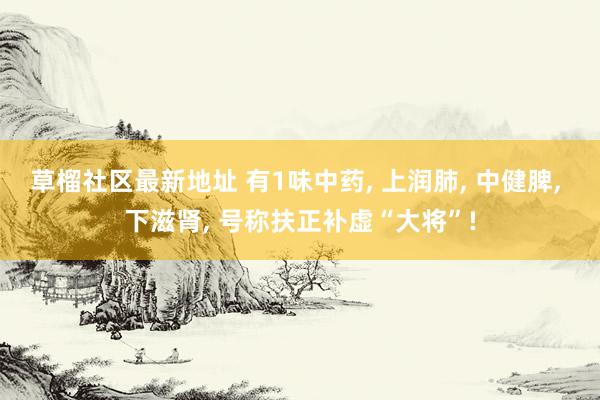 草榴社区最新地址 有1味中药， 上润肺， 中健脾， 下滋肾， 号称扶正补虚“大将”!